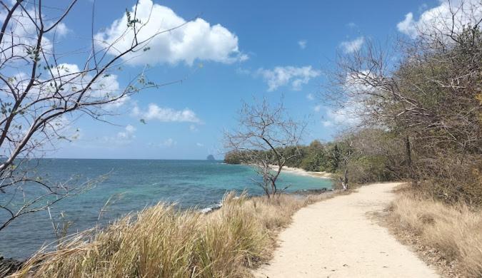Felix, T2 Acces Plage Gros-Raisins Sainte-Luce Bagian luar foto